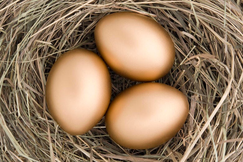 a group of eggs in a nest